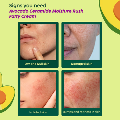 Avocado Ceramide Moisture Rush Fatty Cream for Barrier Repair & 100 HR Moisture