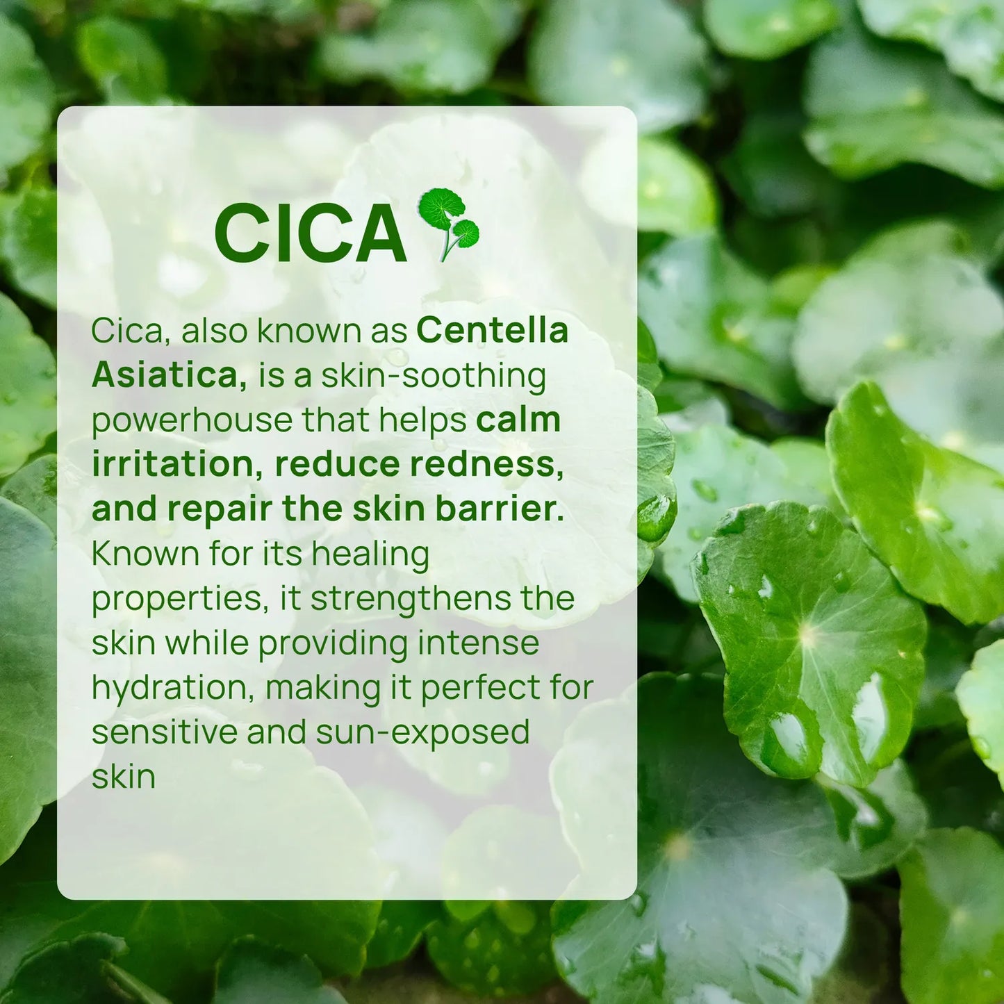 Good Vibes CICA Brightening Glow Sunscreen SPF 50 PA++++ |